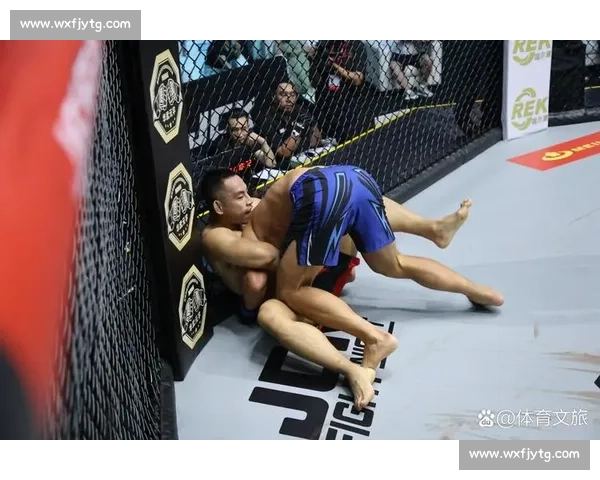 罗比劳勒对决牛仔经典硬汉之战重燃八角笼热血传奇拳拳到肉巅峰回合